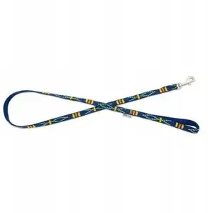 Leash barry king BK-18728 — dog leash, blue ethnic pattern, polypropylene webbing 20mm × 120cm