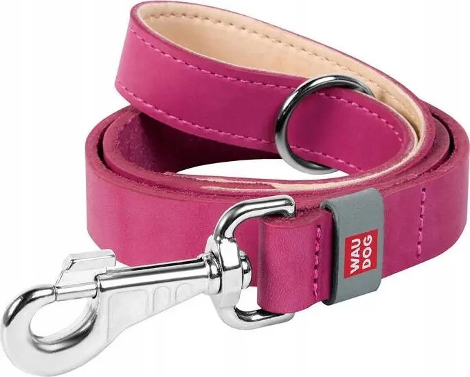 Pet Collars & Leashes