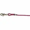Trixie 197445 tracking lead 10 m Photo 2