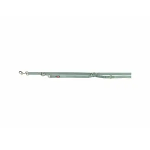 Pet leash Trixie Premium XS/S tape 2 m green