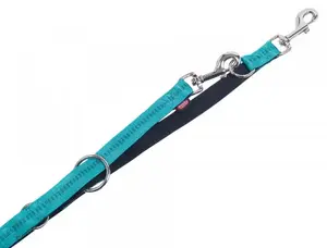 Nobby 78507-34 Nylon dog standard lead, turquoise, 2 m length, 1 cm strap