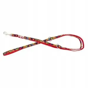 Dog leash Barry King model BK-18838, adjustable polypropylene tape 10 mm × 220 cm, red, Picasso pattern