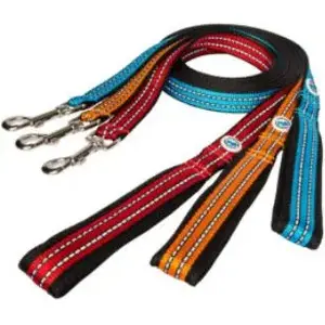 Leash All For Dogs sport 1.5 cm orange — lightweight dog leash for walking and training
