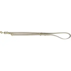 Adjustable Leather Dog Leash Trixie TX-1882016, light gray, M–L 2 m × 20 mm