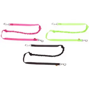 Leash with Shock Absorber and 2 Carabiners DINGO 170 cm (model 14698)