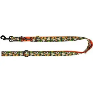 Leash DINGO SMYCZ REG. CITY CHIAPAS 3.0 x 220 cm by DINGO
