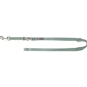 Adjustable dog leash Trixie Premium L–XL tape sage 2.00 m × 25 mm