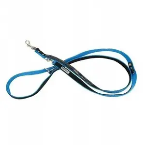 Leash for dog barry king BK-18997 — double reflective neo tape, 25 mm × 220 cm, blue, dog pattern