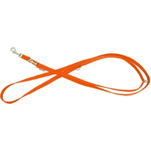 Adjustable dog leash Barry King BK-17729, orange, size M-L, 20 mm × 2 m