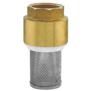 Check valve with suction strainer FERRO K22 1" for water systems