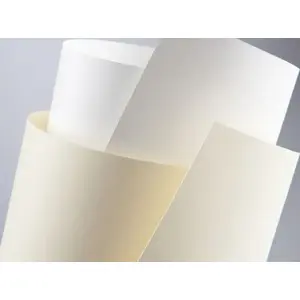 Декоративный картон HERLITZ A4 кремовый 230 г/м² — текстурированная поверхность