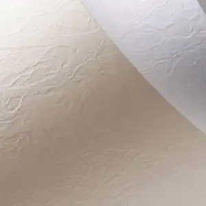 Decorative cardboard A4 ARGO Skóra white 20 sheets