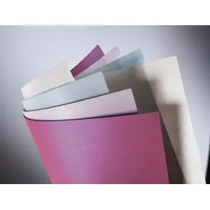 Decorative Paper ARGO Galeria Papieru Millennium Rose A4 220 g/m² 20 sheets