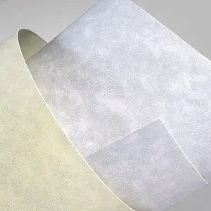 Paper ARGO A4 granite cream 220 g/m² – pack of cardstock sheets