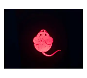 Trixie LED rādītājs Catch the Light Maus USB Photo 3