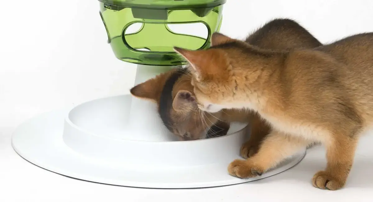 Catit Senses 2.0 Food Tree — интерактивный кормушечный тренажер Photo 3
