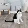Trixie Catnip Bubbles — burbuļu rotaļlieta kaķiem Photo 2