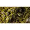Gamers Grass GG2-MO растения для моделей — 115 шт. Photo 4
