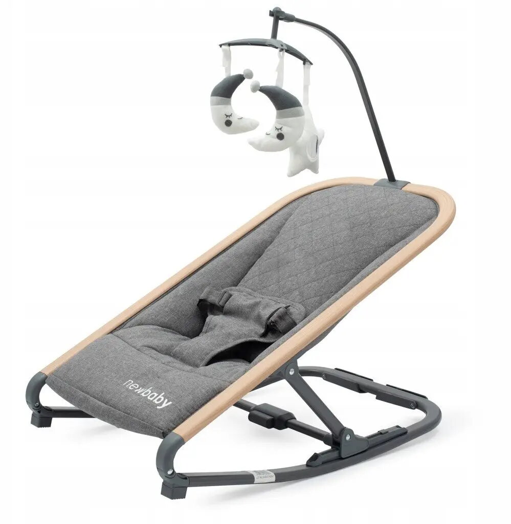 Baby Swings
