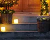 Philips Sirius Home 51630 decorative 30-LED string lights Photo 3