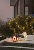 Fairy lights reel Konstsmide 1200 LED 10.8W Photo 8