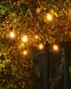 Acer Sirius Home 69500 LED гирлянда 10 ламп Photo 3