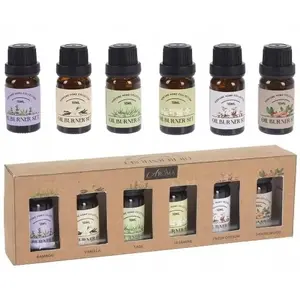 Aromatic Oil Set Vilde 6 x 10 ml for Diffuser or Oil Burner, Vilde 779089