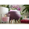 Concept Solution DF1011 evaporative aroma diffuser Photo 7
