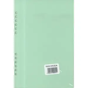 Organizer insert A5 Antra model 270049 — plain green refill sheet