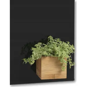 Bamboo Storage Box with Magnets NAGA 6.5×6×6.5 cm