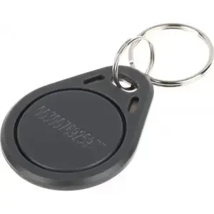 RFID key fob Atlo ATLO-504N13/G, proximity access token