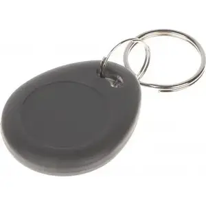 RFID key fob Atlo ATLO-537NR/G — proximity access token, passive 125 kHz compatible