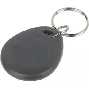 Atlo RFID key fob ATLO-534/G — proximity access token, passive 125 kHz