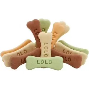 Dog biscuits LOLO PETS CLASSIC Classic Ciastka Kości mix L, 17 kg pack