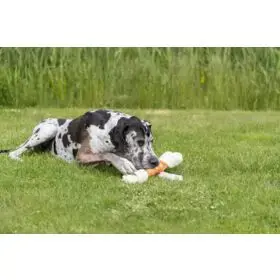 Trixie TRIXIE 31175 gardums Bone Photo 4