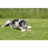 Trixie TRIXIE 31175 gardums Bone Photo 4