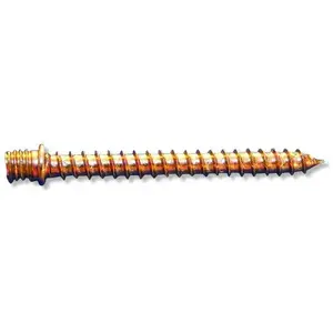 Wood screw Aptel GOTTFRED P M6 45 mm — threaded fastener for wooden connections