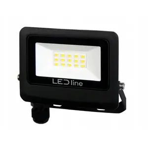 Floodlight Philips LED line LITE PHOTON projector 10W 4000K 1000lm IP65