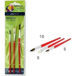 School paint brushes Polsirhurt 1876-S set — Polsirhurt, model 1876-S