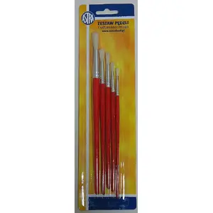 Paint Brushes Astra set with natural bristle sizes 2, 6, 8, 10
