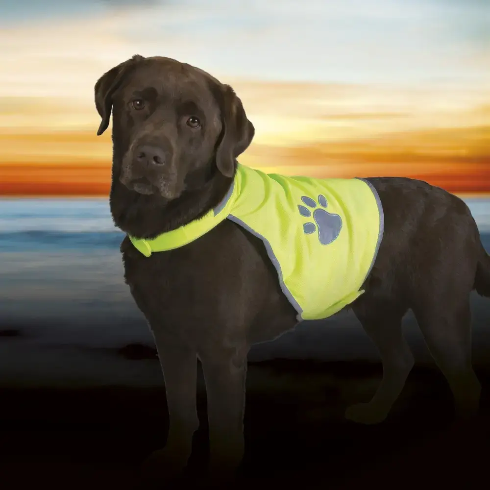 Защитный жилет для собак Trixie 30083 L Photo 2