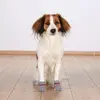 Dog socks Trixie TX-19504 L/XL Photo 4