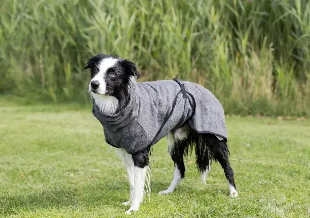Trixie TRIXIE Bathrobe dog bath towel 300 mm Photo 10
