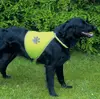 Trixie Drošības veste TRIXIE Safety Vest XL Photo 2