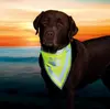 Kakla lakats Trixie TRIXIE Neckerchief S/M Photo 2