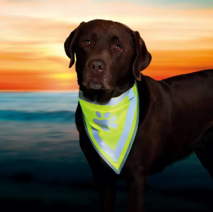 Trixie Neckerchief L/XL polyester Photo 2