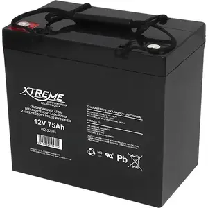 Стартерный аккумулятор XTREME 12В 75А·ч (модель 82-229) для автомобилей
