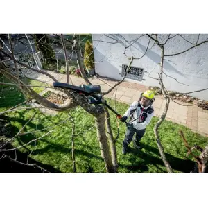 Telescopic chainsaw in win MS 18 LTX 15 for carcass cutting, cordless telescopic pole saw, METABOX compatible