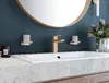 Vannas glāze Hansgrohe 41749990 Photo 8