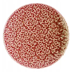 Flat Plate Verlo Amour 20 cm — ceramic dinner plate, 20 cm diameter